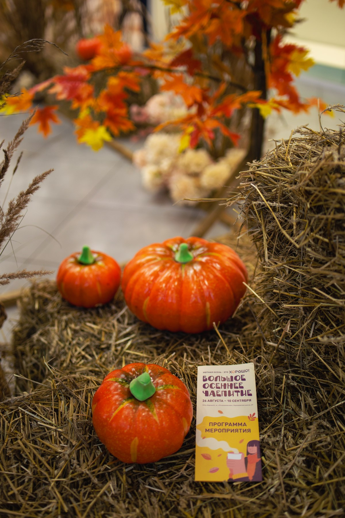Осеннее чаепитие в ТЦ Хорошо!. Репортажный и концертный фотограф в Москве Анастасия Осень