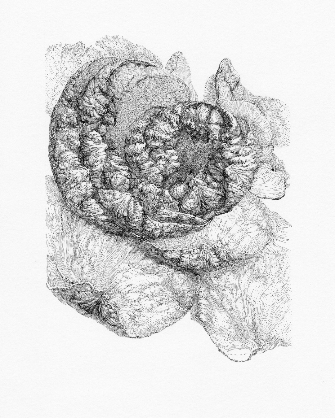 After Bouquet. Rose. 2. Nadezhda Polomoshnova, fine artist in Charleston