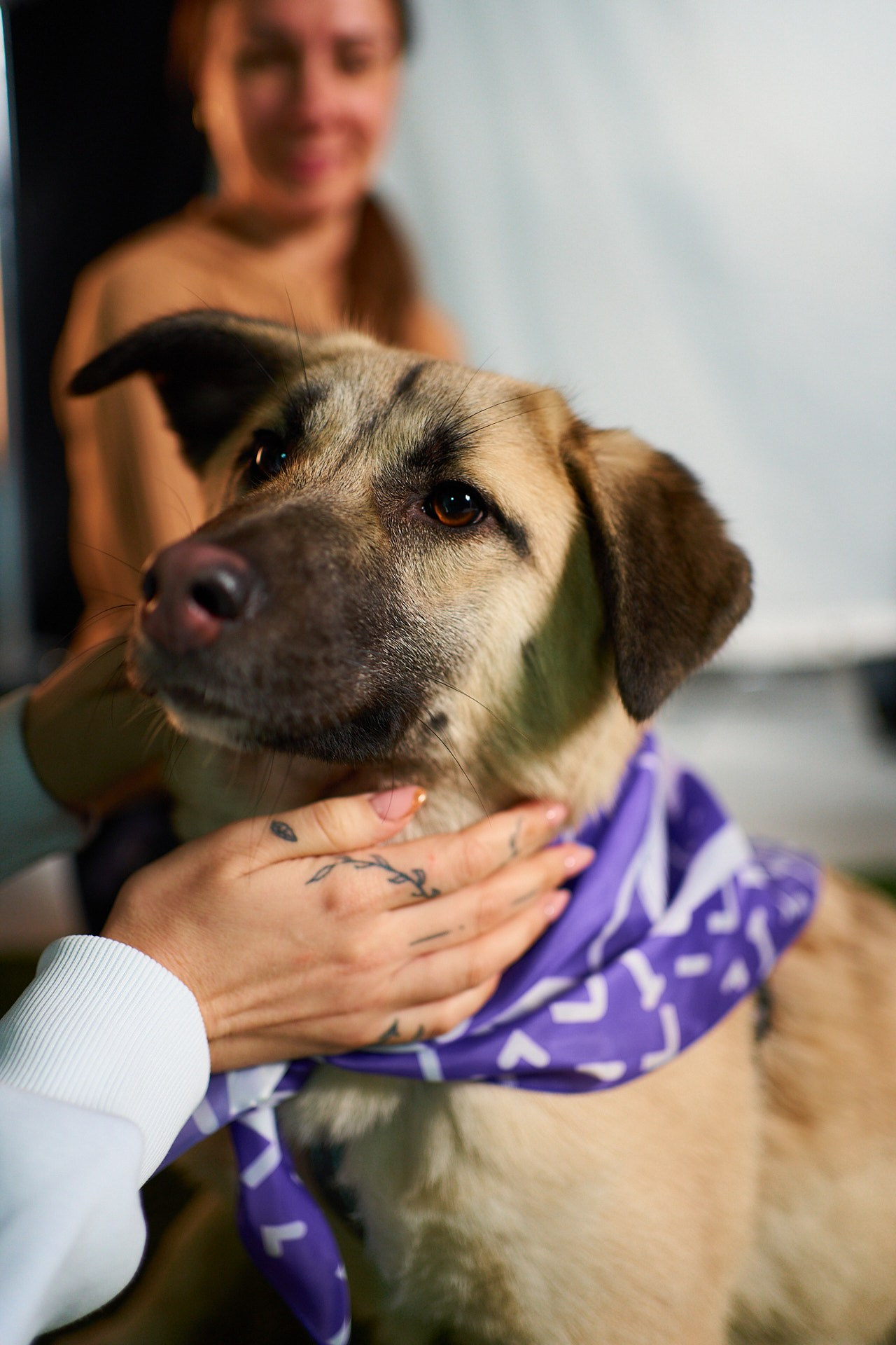 Проект «Андердоги» для коллаборации Фонда «Рэй», Sports.ru, Пари. Фотограф анималист Москва Дарья