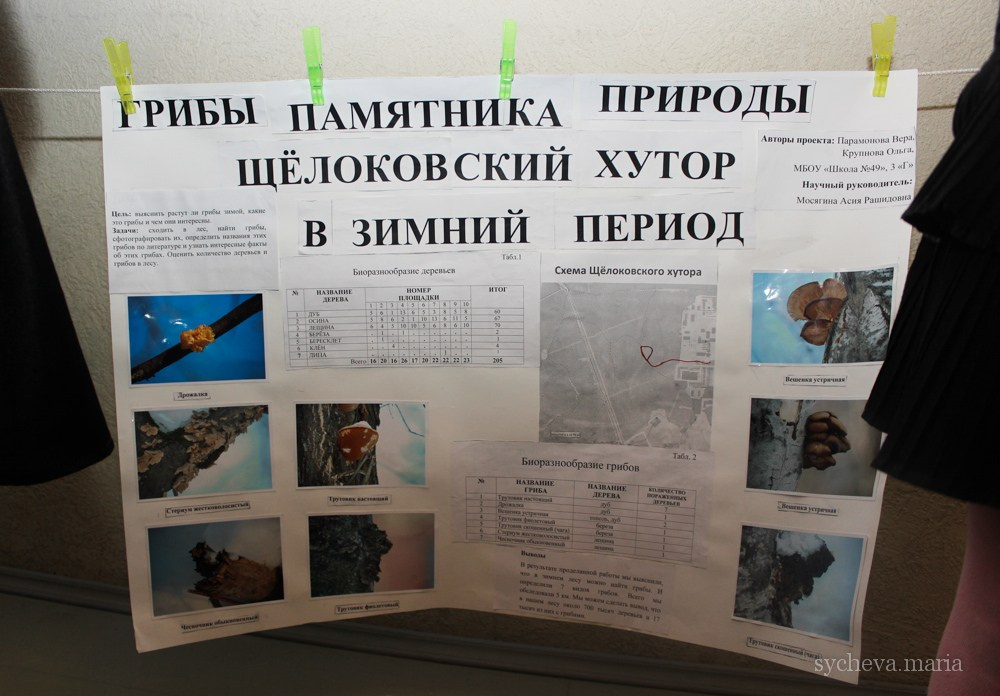 Детско-юношеская экологическая научная конференция. Детский и семейный фотограф, фотограф мероприятий Нижний Новгород