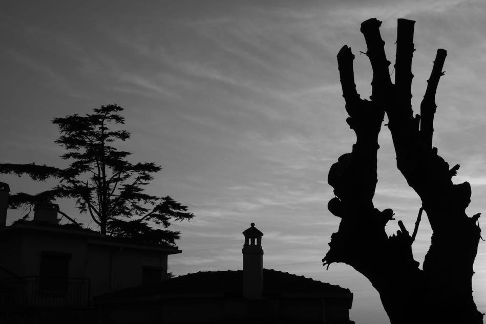 Серия «Кофе по-турецки». ANNA PAVLIKOVSKAYA ЧЕРНО-БЕЛАЯ ФОТОГРАФИЯ — ЭТО Я