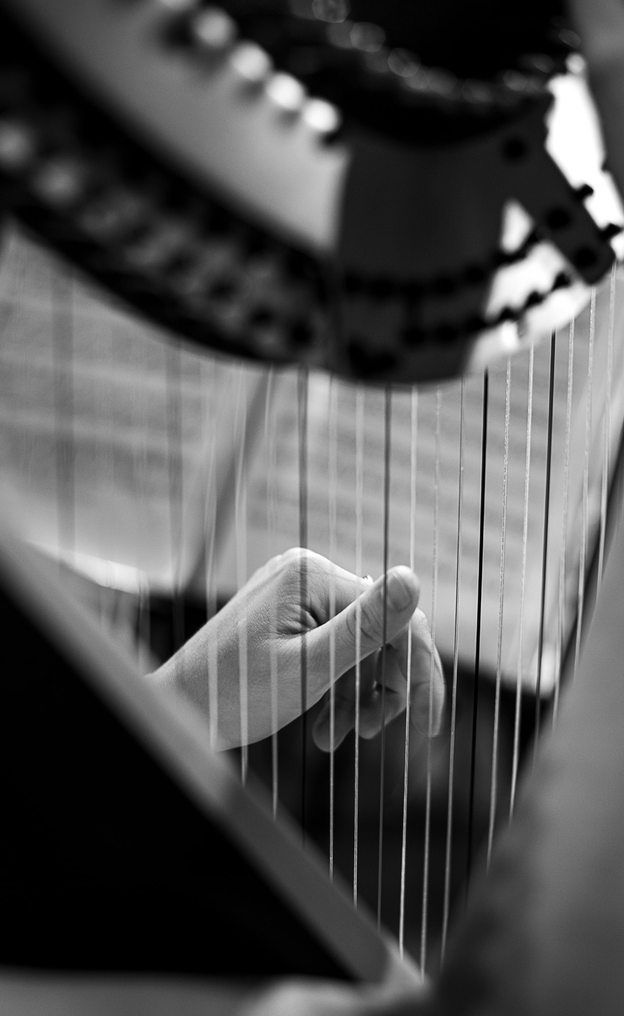 Арфа и маримба. SaGaFOTO.ru