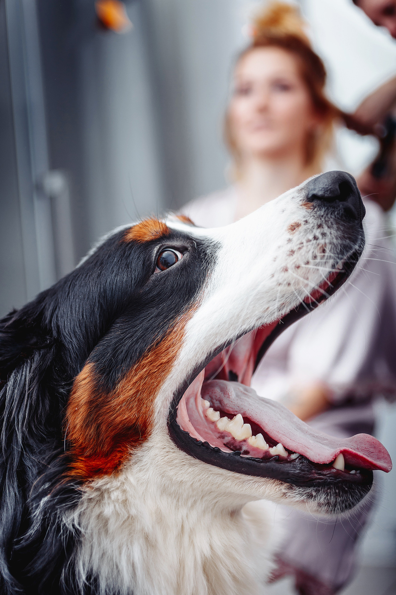 Сергей и Кристина, осень — не помеха!. Свадебный фотограф Дмитрий Гладков