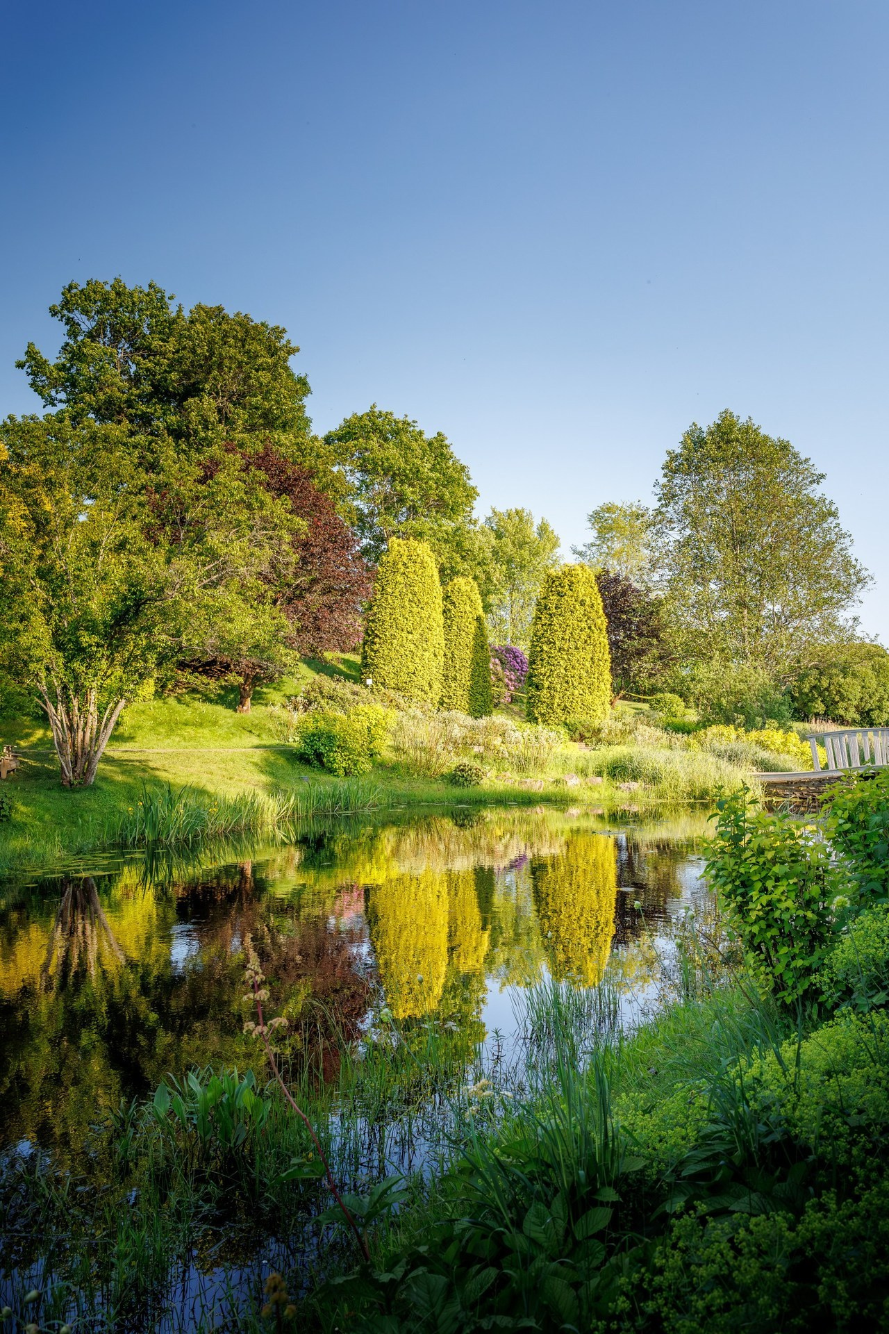 Отзывы. Семейный и свадебный фотограф в Москве и Домодедово Анна Авилочкина
