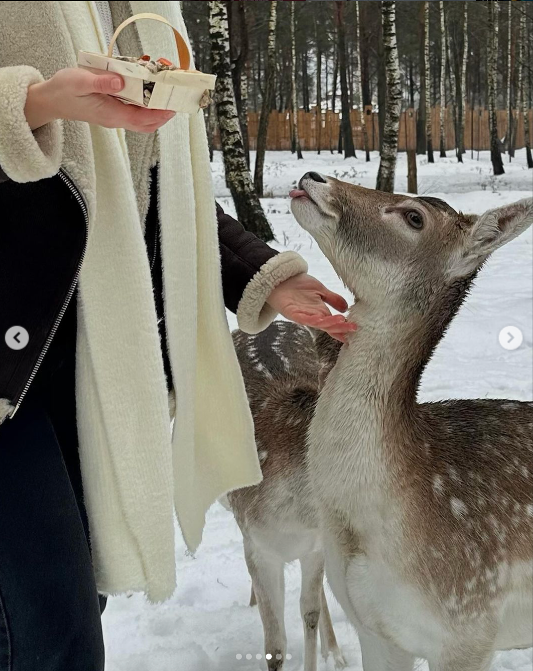 В зоопарке. Семейный и свадебный фотограф в Минске Юлия Грин