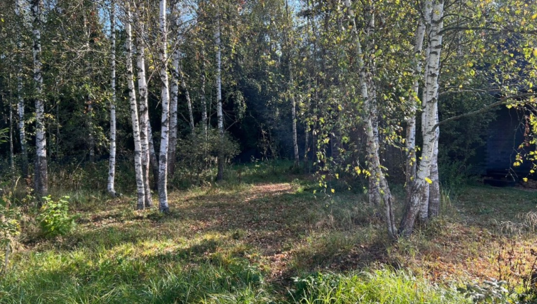 Green мз церемония