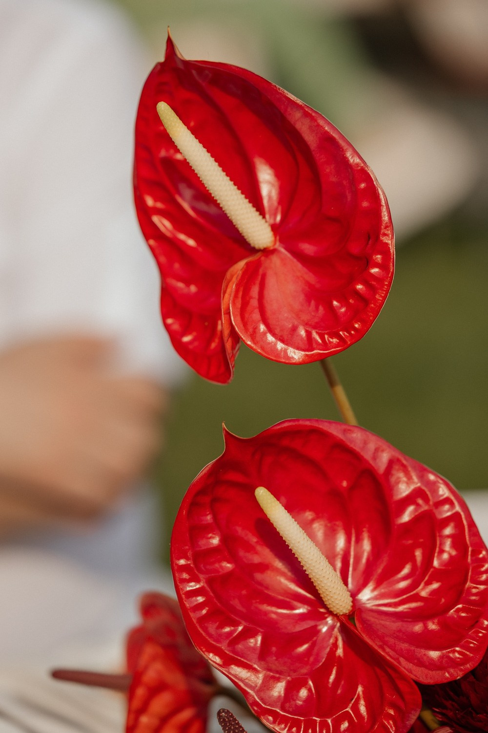 Ever Near. Свадебный фотограф Москва