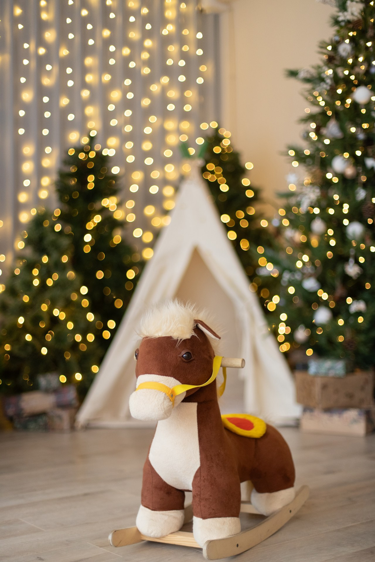 СКАНДИ. Профессиональный фотограф Анастасия Кохно