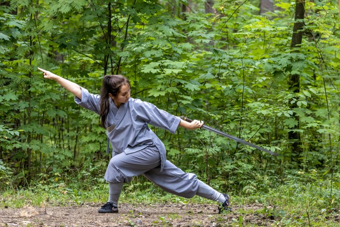 Цигун и гунфу. Лилия Гоца. Гунфу Шаолинь. Арт-фотография. Ретриты