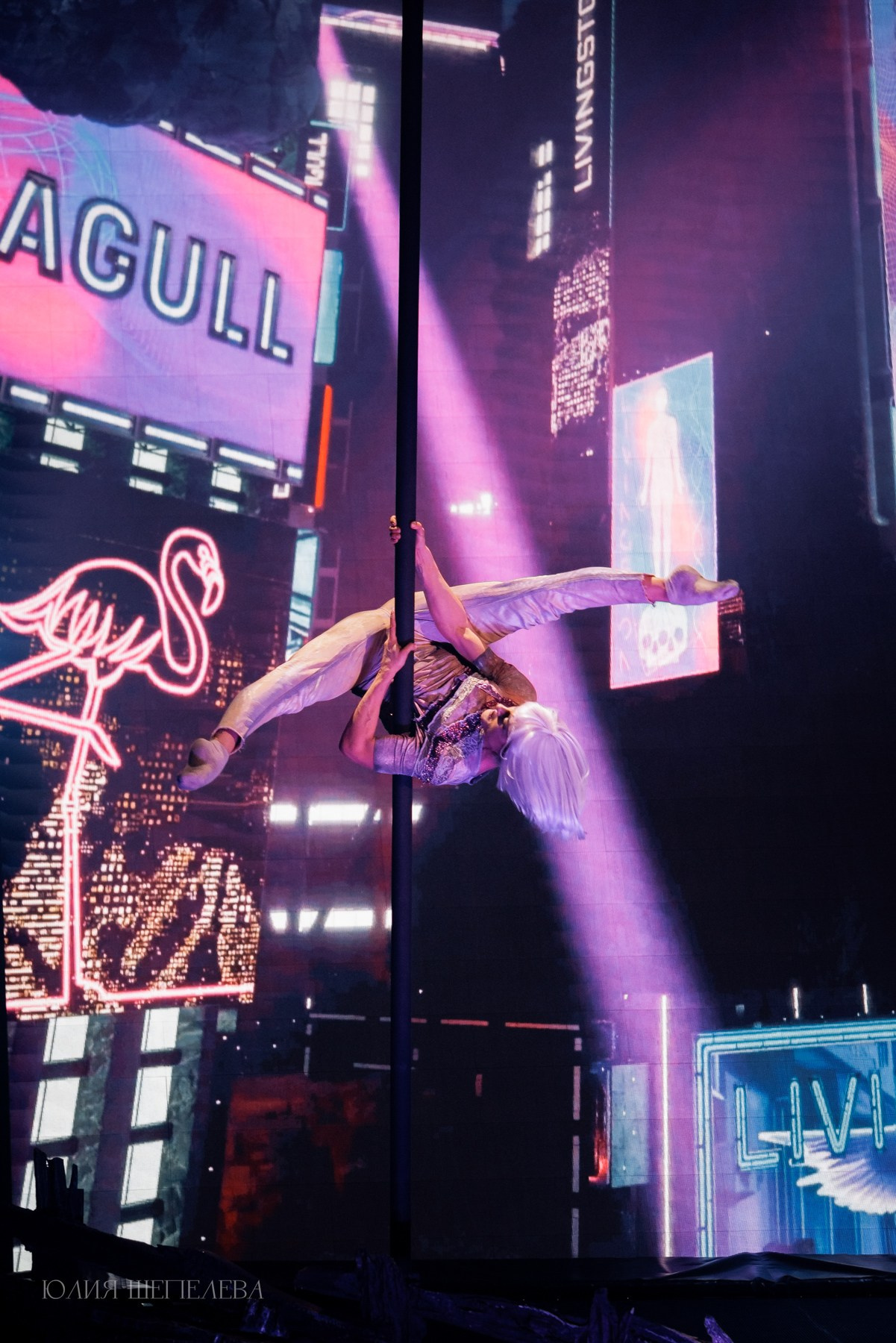 Антигравитация. Премьера. Детская Конная фотография в Москве Юлия Шепелева