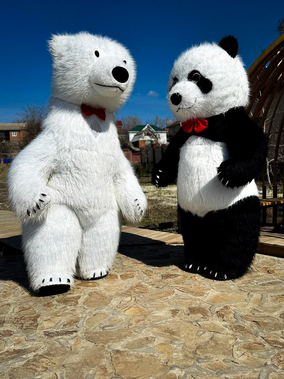 Эксперсс поздравление.ростовые куклы, медведь, панда, горилла. Организатор праздников. Ведущая Марина Гребенникова