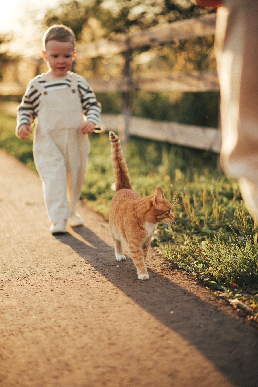 Саша, Настя, Арсений | на природе