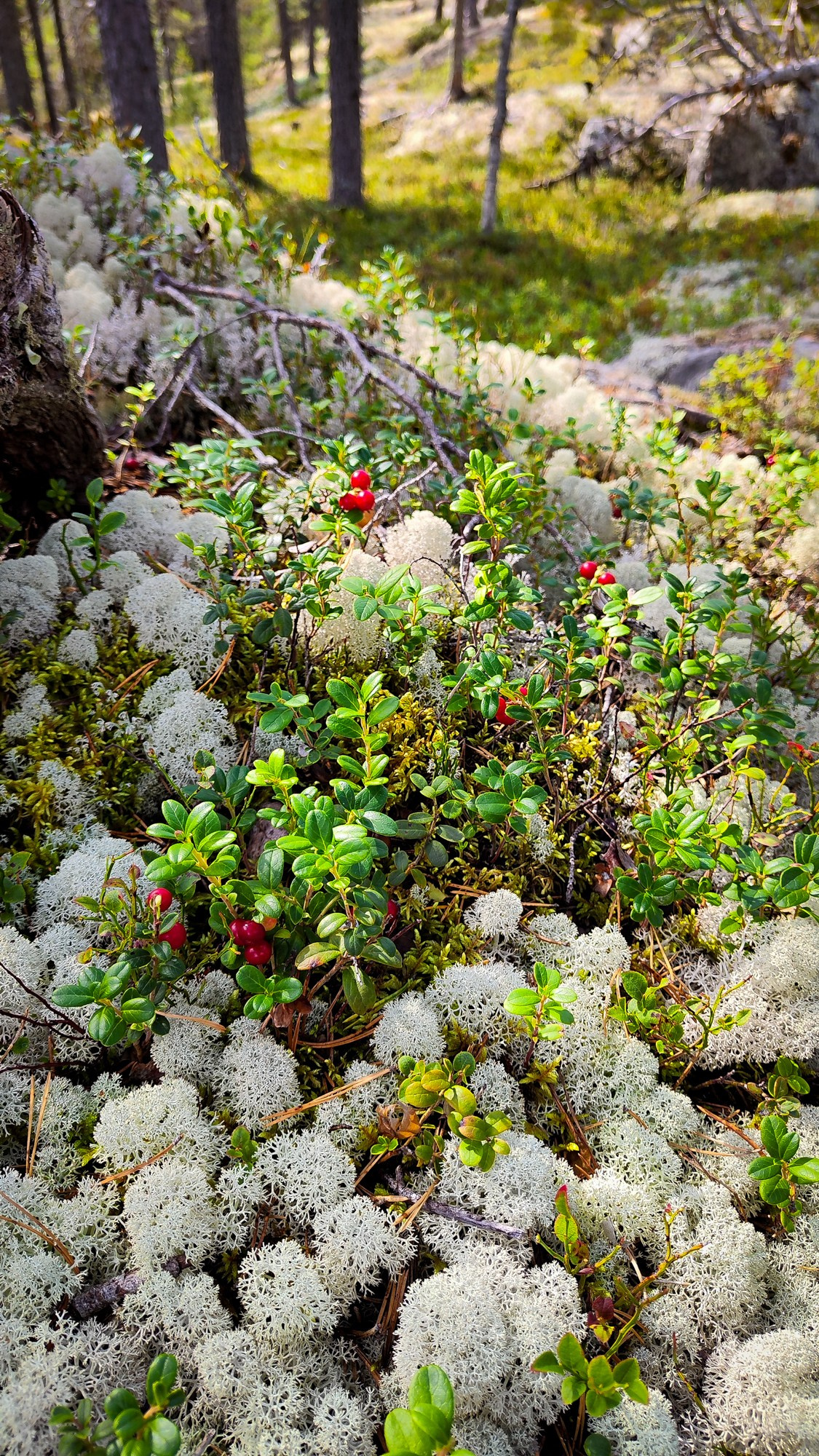 Репортаж с ретрита. Фотограф Ксения Соло