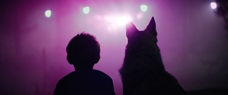 Color Theory. TENZO | Creative Producer / Art Director