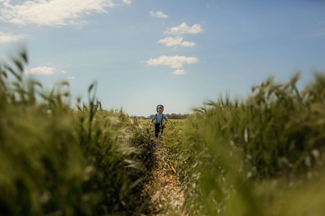 В поле ячменя. Семейный и детский фотограф Екатерина Савёлова