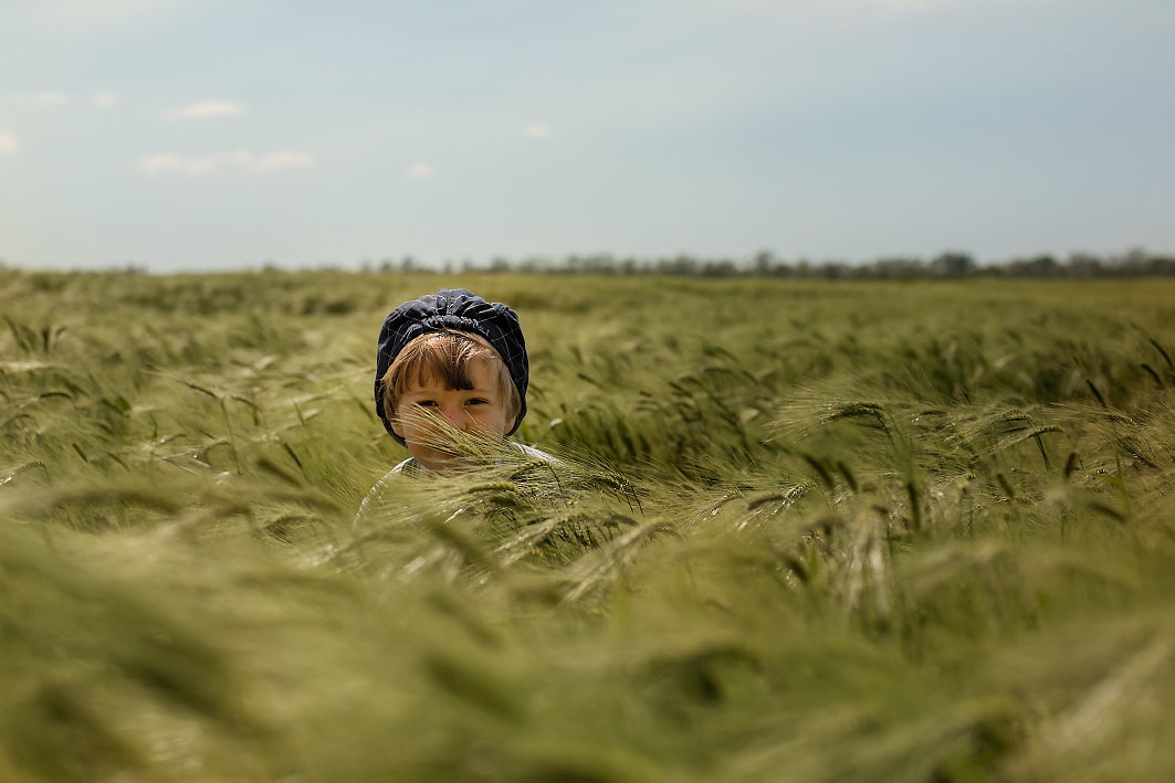 В поле ячменя. Семейный и детский фотограф Екатерина Савёлова