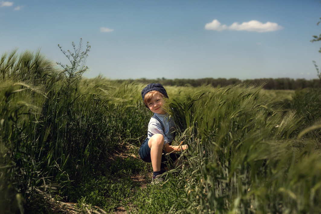 В поле ячменя. Семейный и детский фотограф Екатерина Савёлова