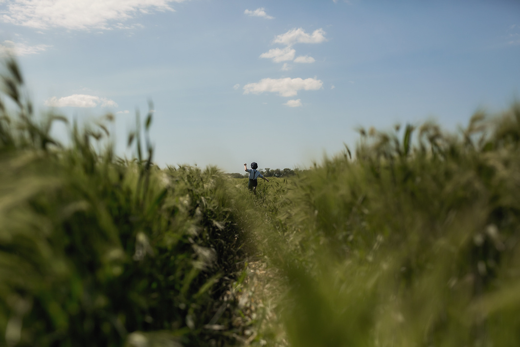 В поле ячменя. Семейный и детский фотограф Екатерина Савёлова