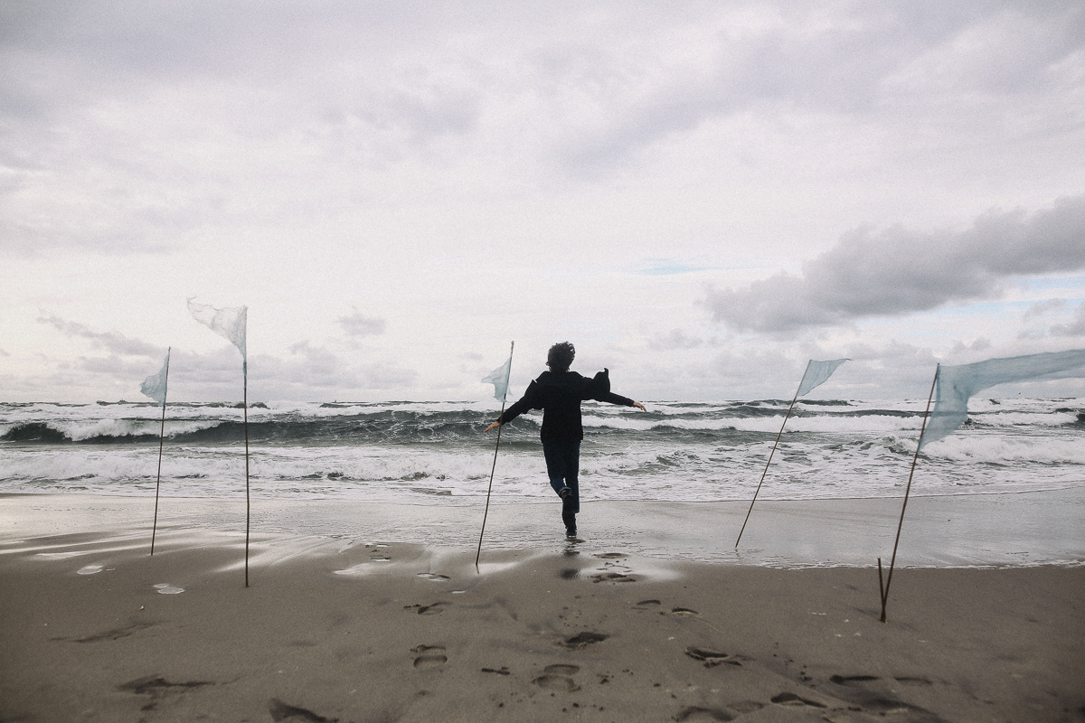 Чайка и друг ее Ветер. Соня Черных (sophieblack)