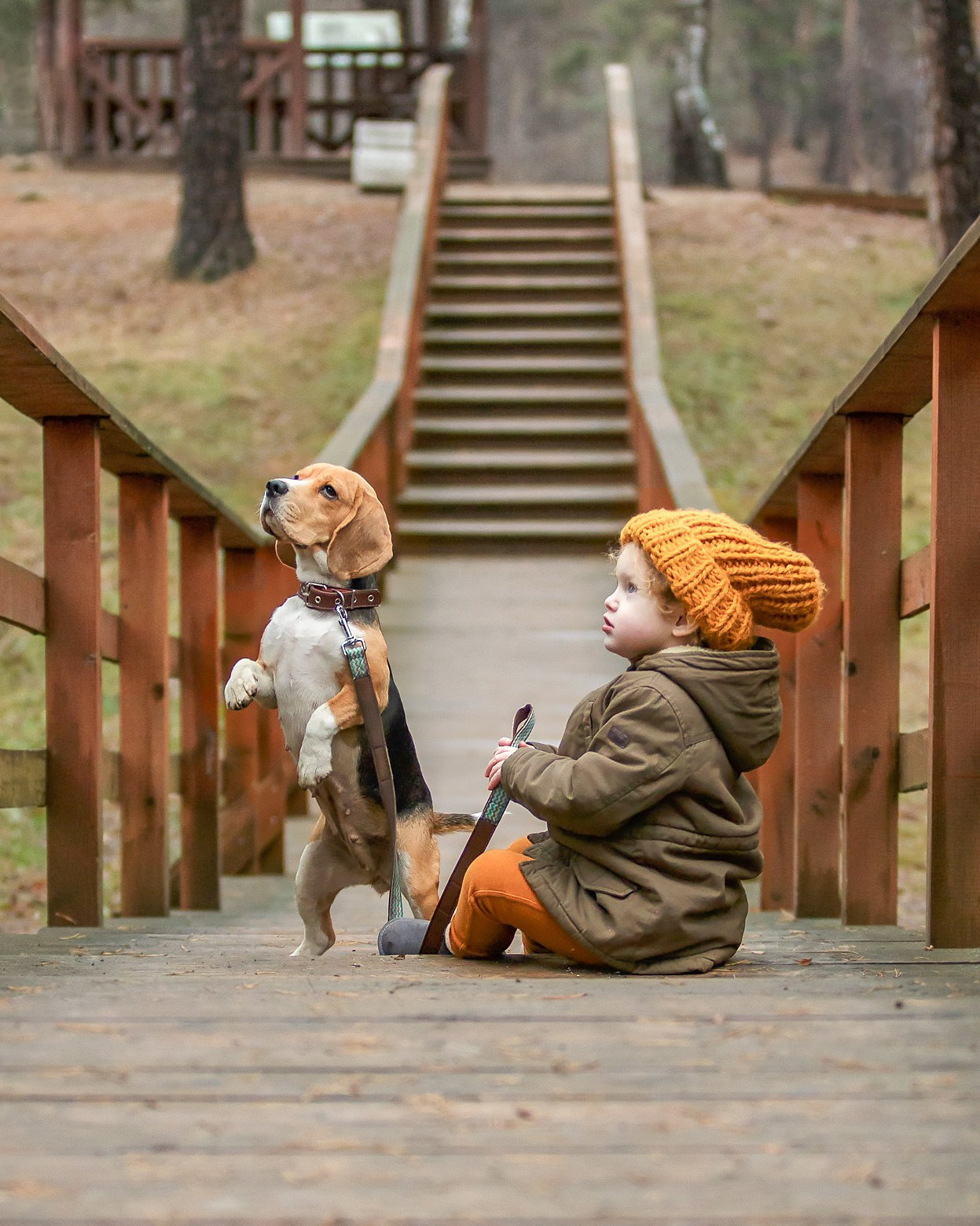 Фотопроект «4 лапки». Репортажный фотограф в Москве