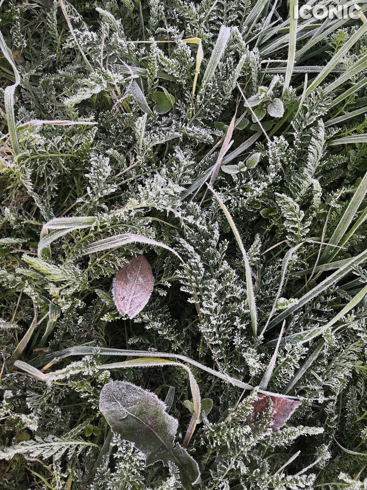 Публикации. Детский и семейный фотограф в Твери Ольга Крестьянинова