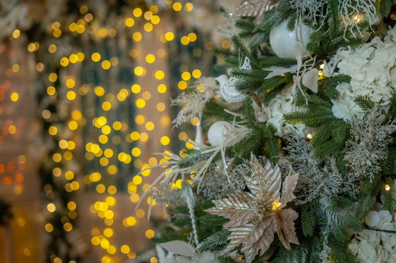 К2. Фотограф г. Хабаровск. Семейные и индивидуальные съёмки