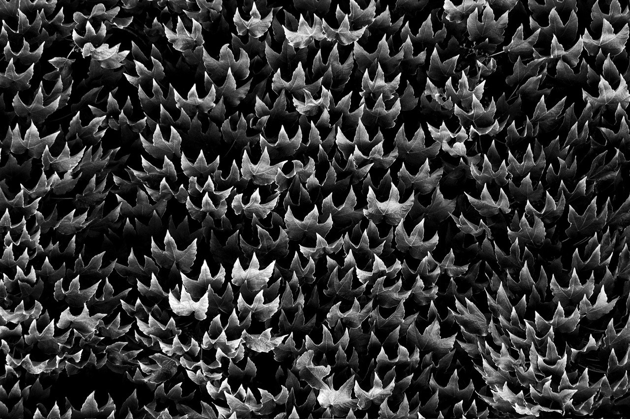 Реальная геометрия. Фотограф Евгений Андреев