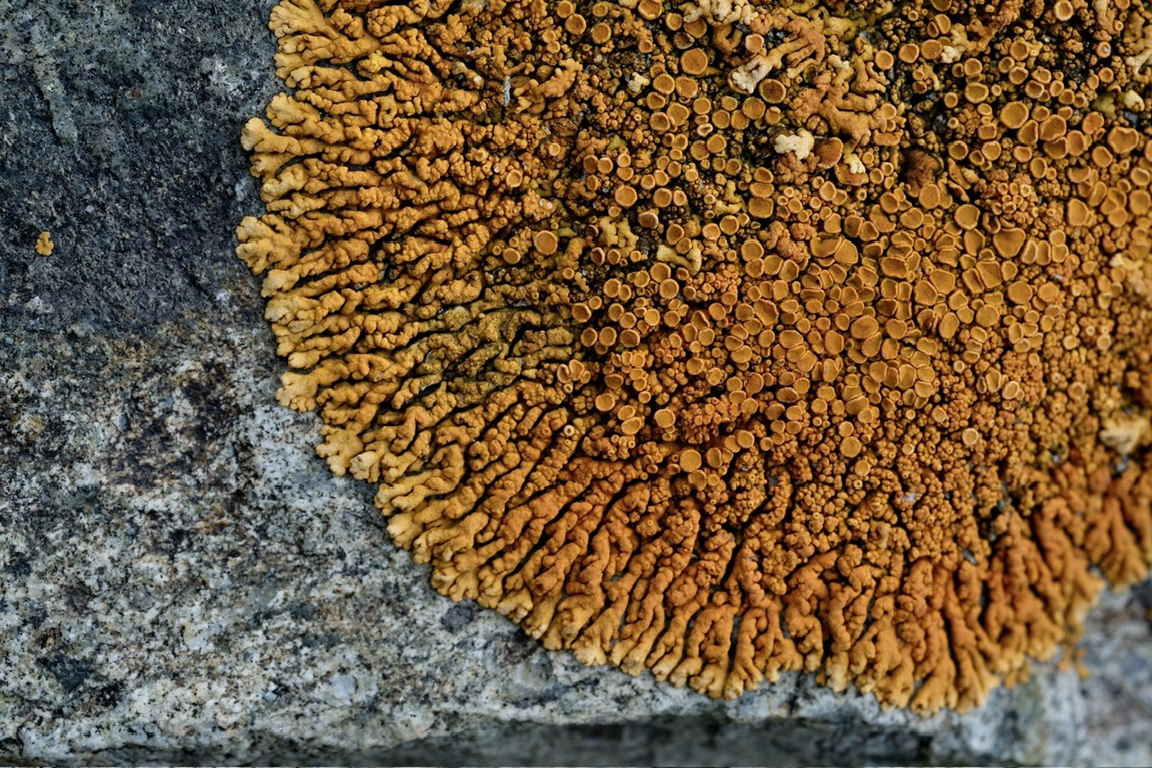 Алтай. Фотограф Евгений Андреев