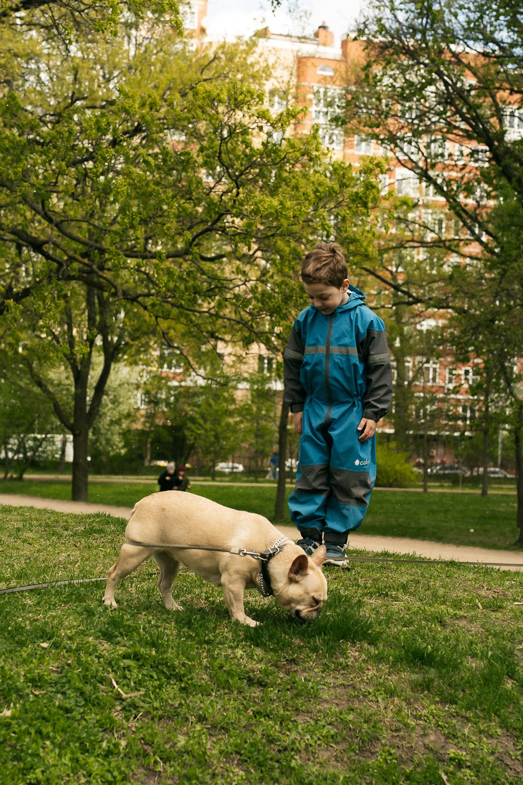 Парад Бульдогов. Axenov_eugene