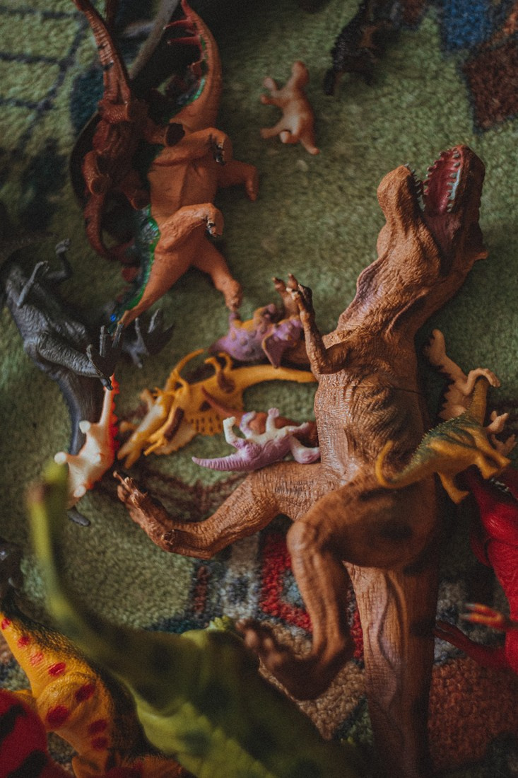 ALICE & SOFI. Портретный и Семейный фотограф в Санкт-Петербурге Rocket Alice