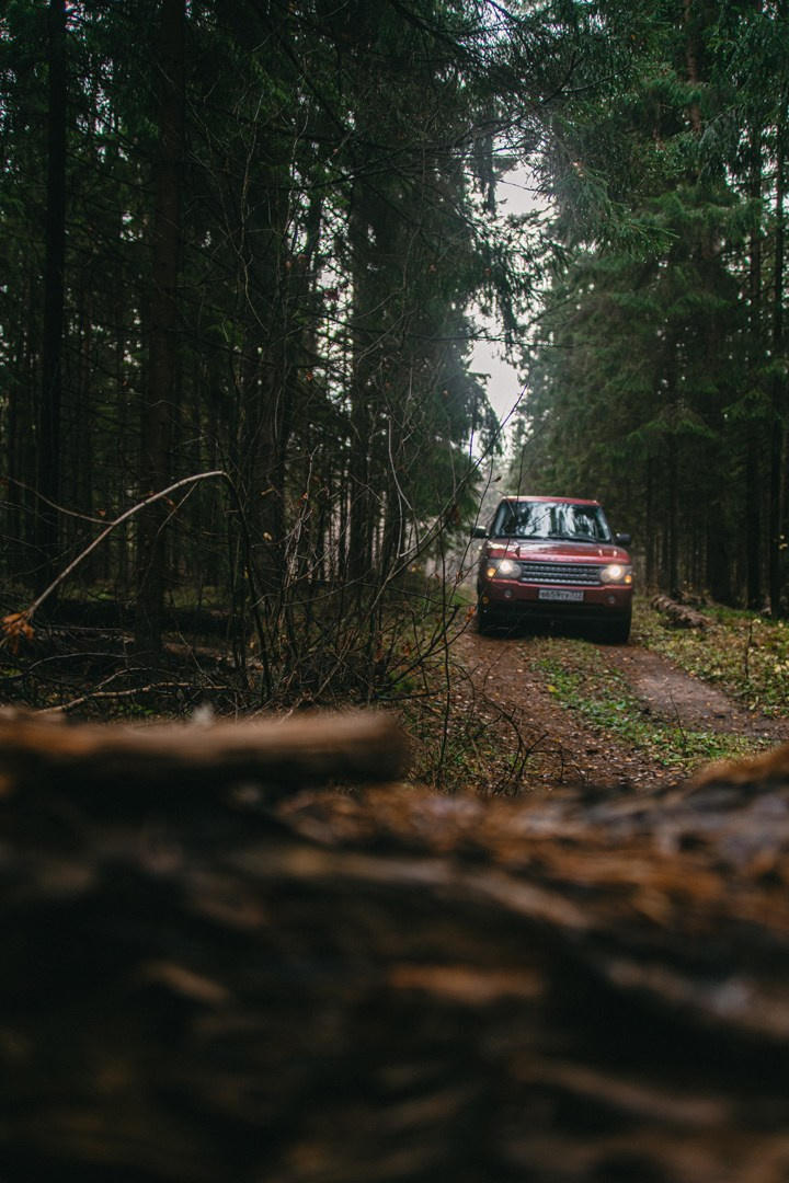 Фотосъемка джипа Range Rover в лесу. Жуков Илья  свадебный фотограф в Москве