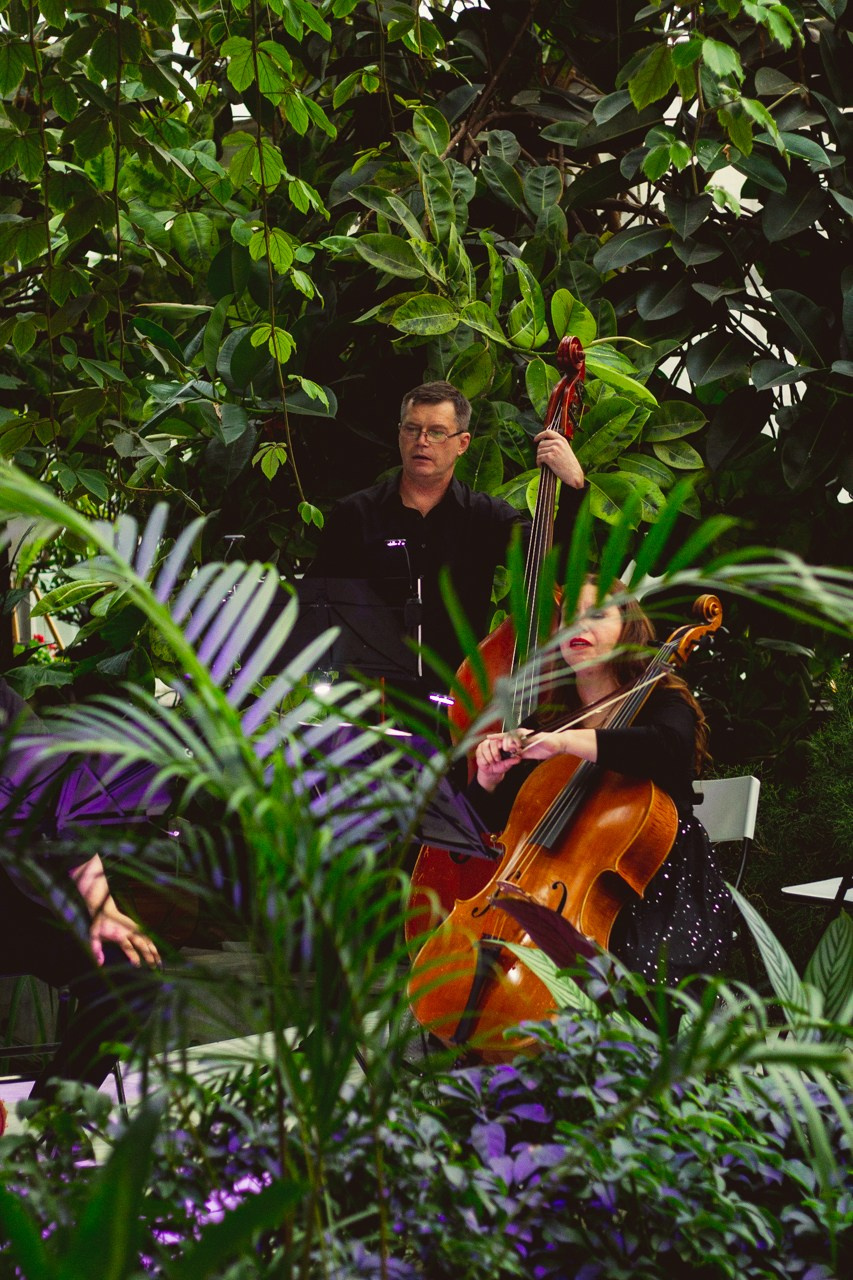 Petro Art — квартет в Таврическом саду (Рок Хиты). EvgenyCraft