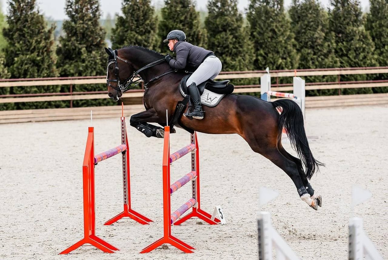 Открытый Кубок КСК «Дивный» по конкуру. Конный фотограф Куракина Дарья • Фотосессии с лошадьми