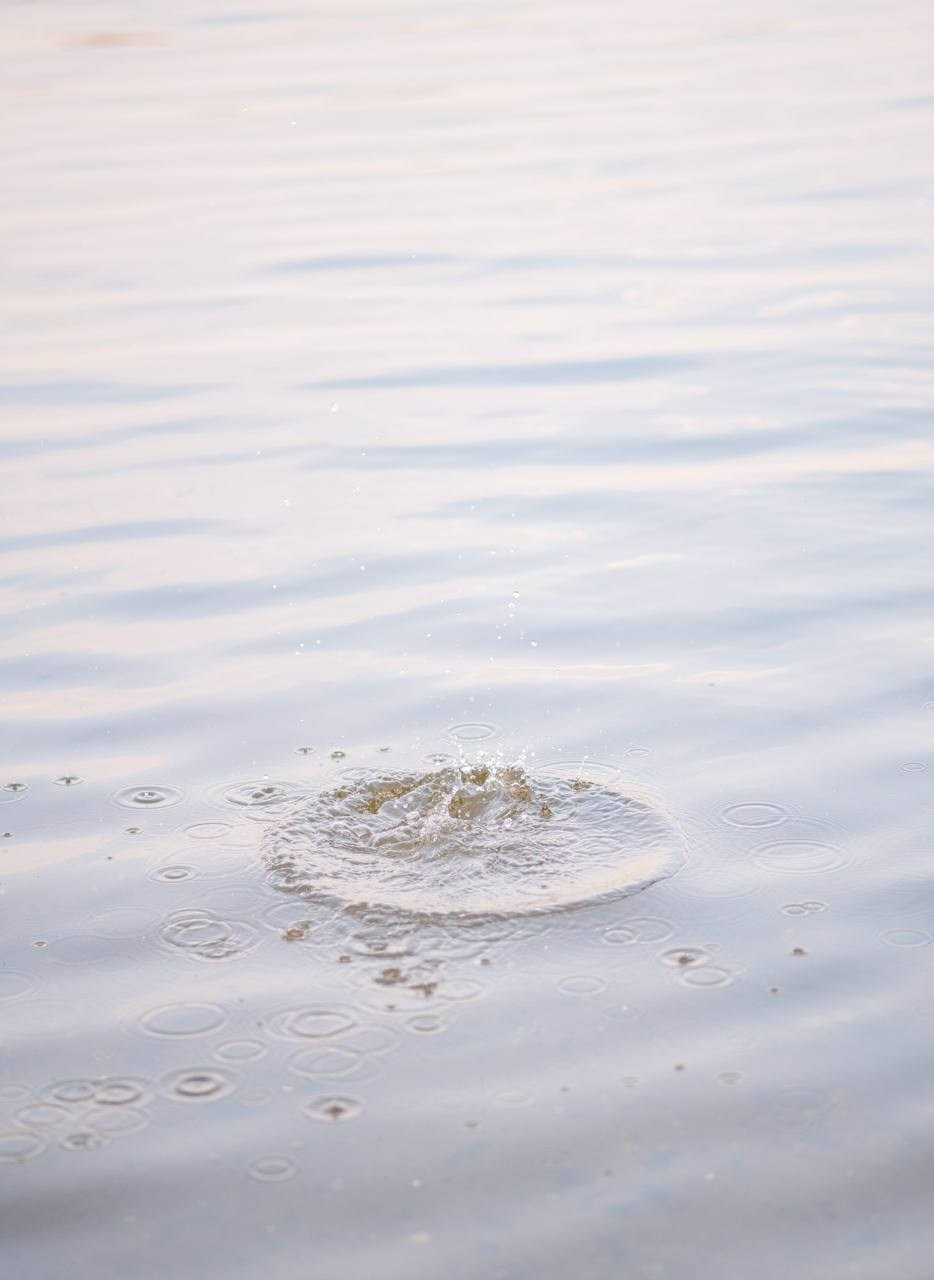 Дима и Илья. Семейный и портретный фотограф в Москве Анастасия Бабак