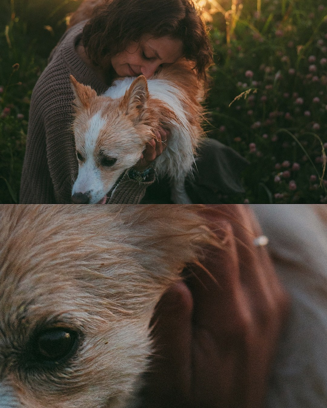 Рина и Марси. Фотограф анималист в Москве и Санкт-Петербурге Свиридова Анна