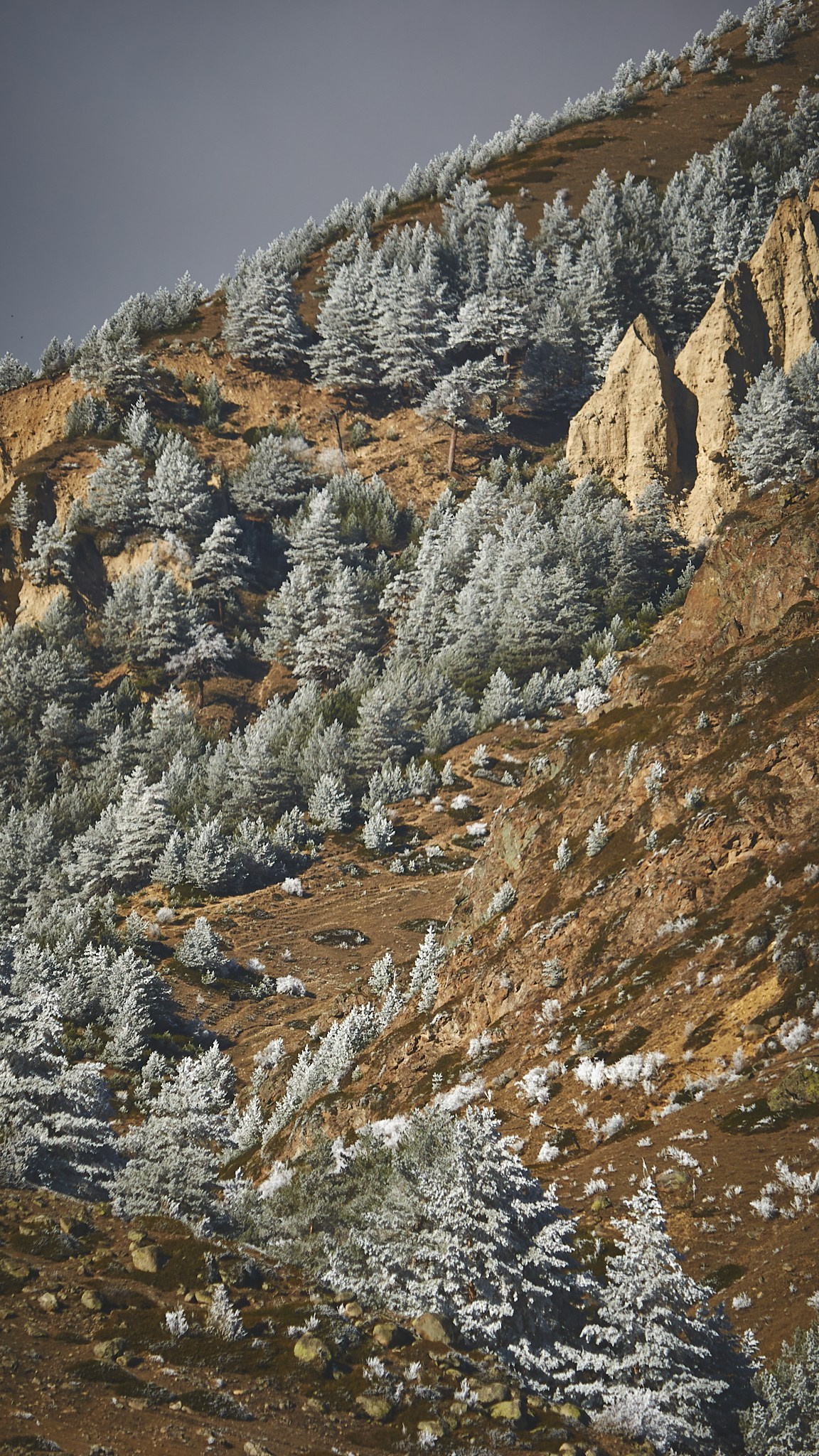 Путешествия и лайфстайл. Горный фотограф на Кавказе Никита Першин
