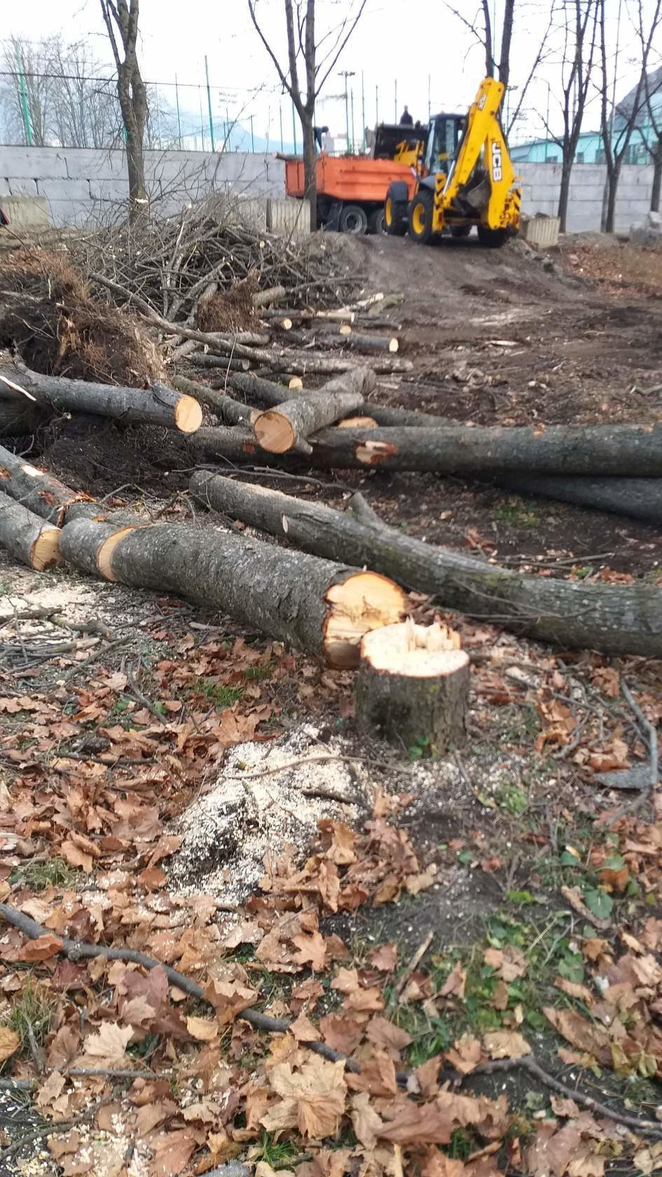 Памятник Лермонтову. Фотоальбом истории города Лермонтов