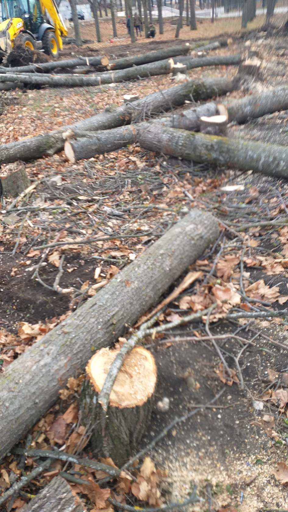 Памятник Лермонтову. Фотоальбом истории города Лермонтов