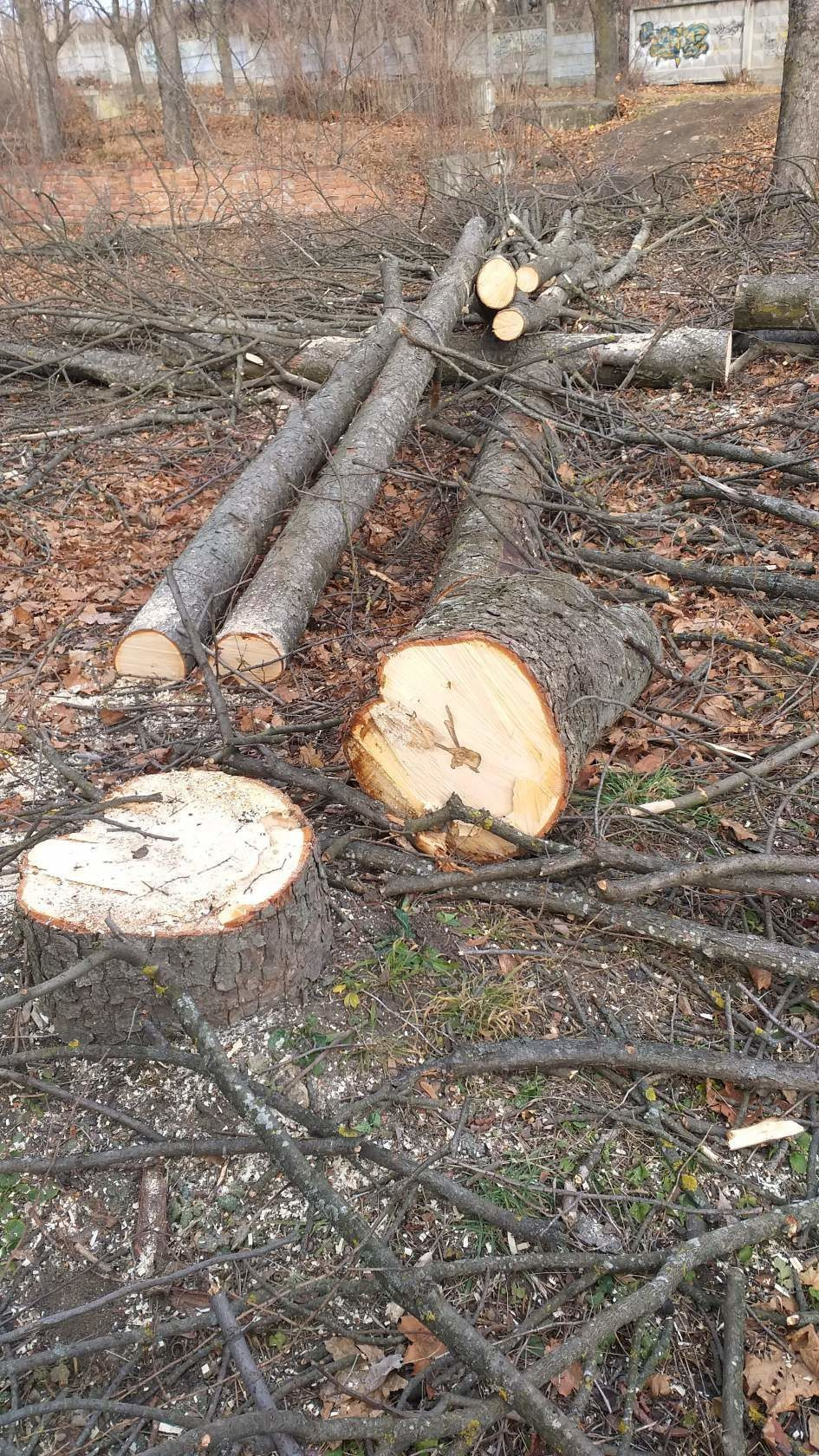 Памятник Лермонтову. Фотоальбом истории города Лермонтов