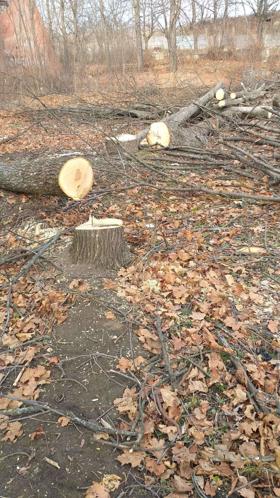 Памятник Лермонтову. Фотоальбом истории города Лермонтов