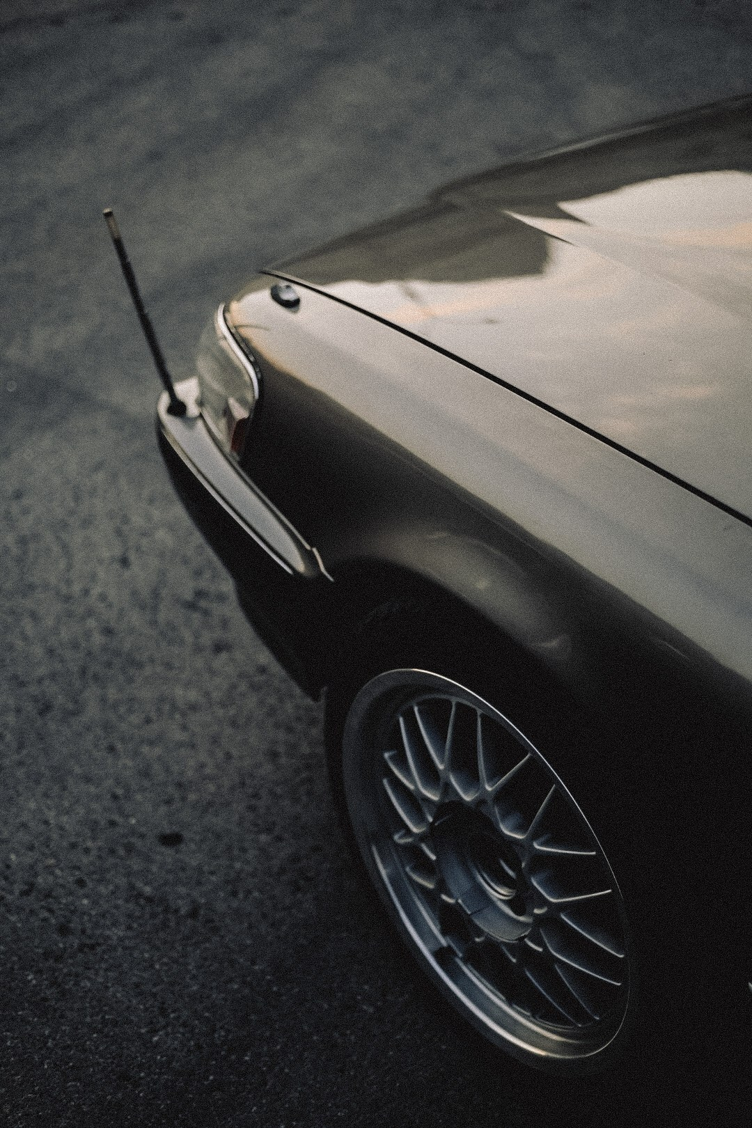 Сходки. Семейный фотограф Полина Легачева