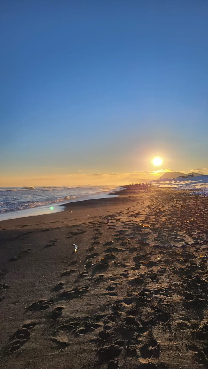 Халактырский пляж и смотровые площадки города. Экскурсионные туры по Камчатке