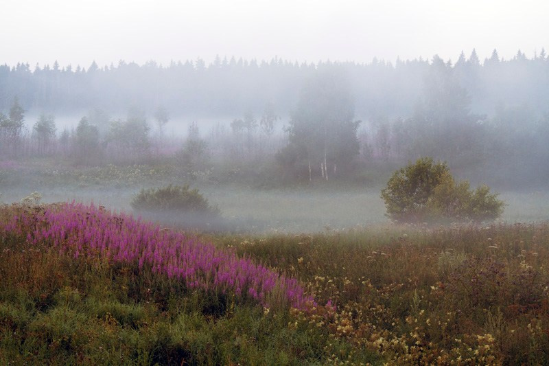 Landscape. Vasiliy Riabovol – Fine Art Photography | Zeit, Raum und Stille