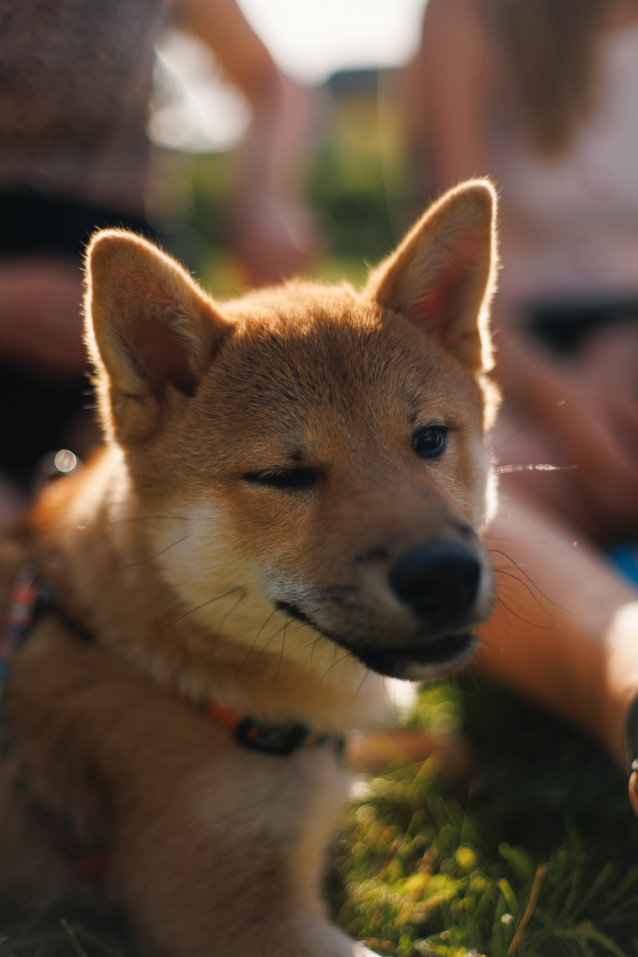 Репортажная съемка. Портретный фотограф в Москве Евгений Уткин