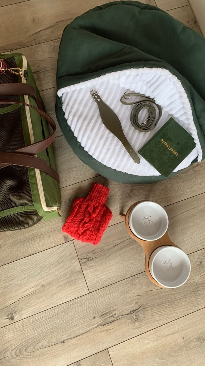 Сон и отдых. Профессиональный питомник левреток РКФ/FCI ASTI SAPPHIRE 💎 Сочи|Санкт-Петербург