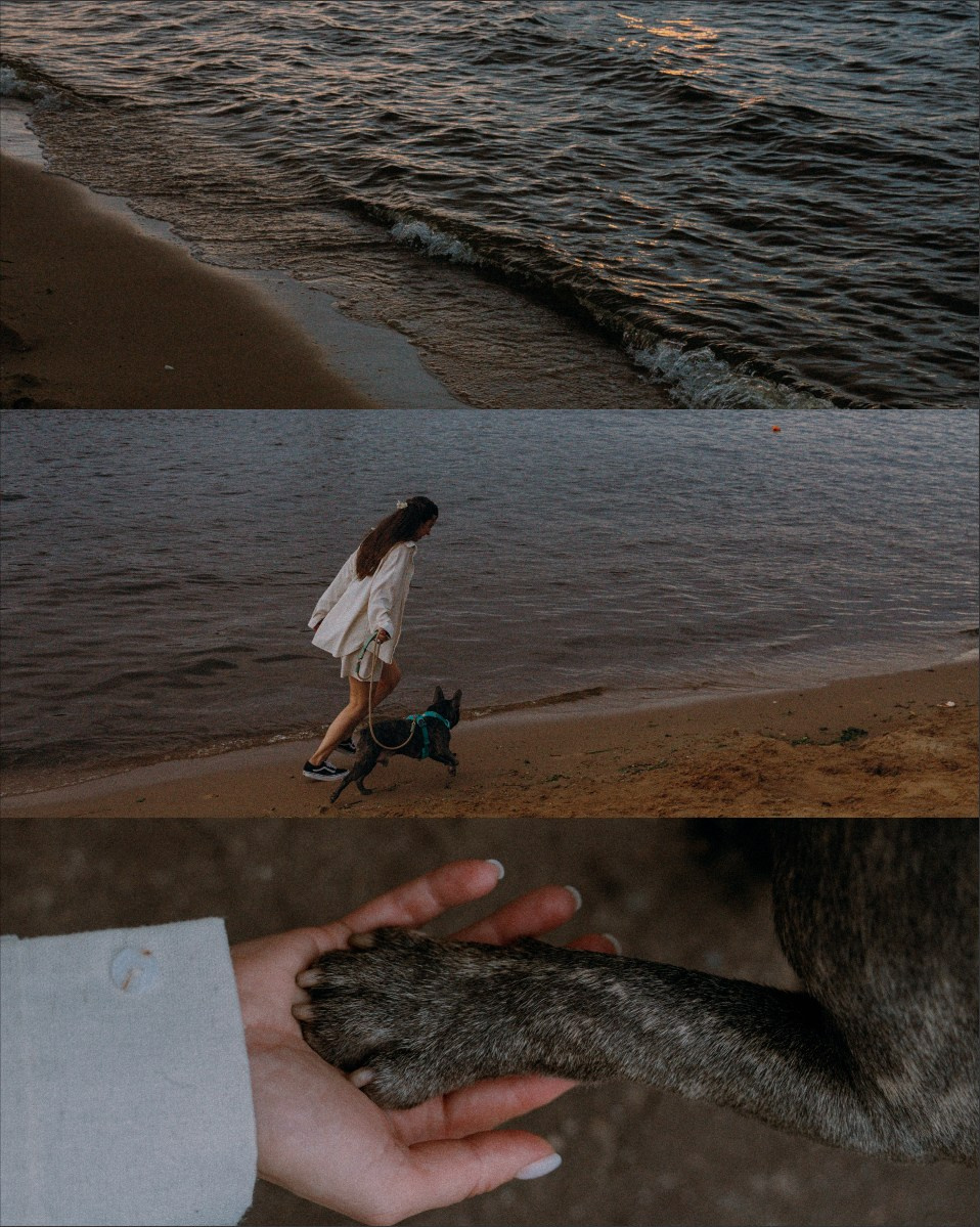 Аня и Чак. Фотограф анималист в Москве и Санкт-Петербурге Свиридова Анна