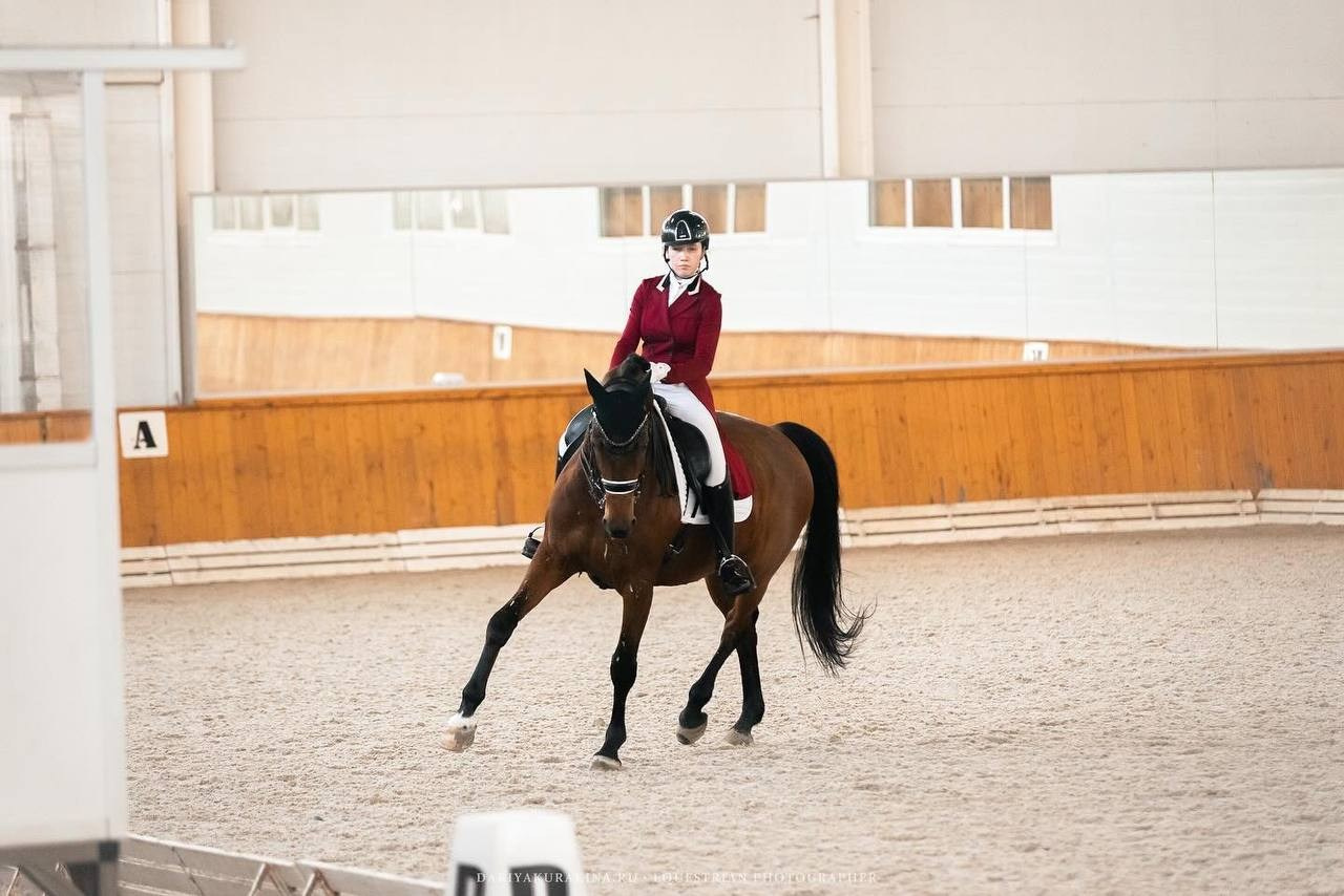 Открытые соревнования по выездке в КСК «Конкорд». Конный фотограф Куракина Дарья • Фотосессии с лошадьми