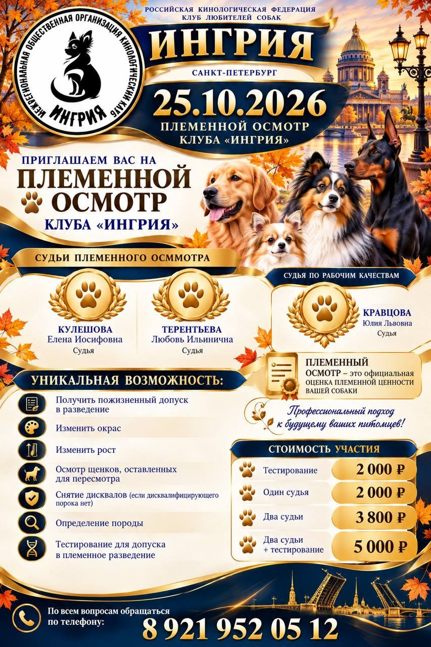 Племсмотр. Кинологический проект Санкт-Петербурга, Клубы Виктория, Ника, Фортуна, Ингрия