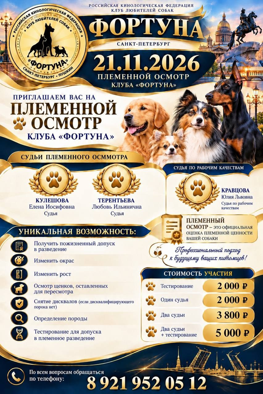 Племсмотр. Кинологический проект Санкт-Петербурга, Клубы Виктория, Ника, Фортуна, Ингрия