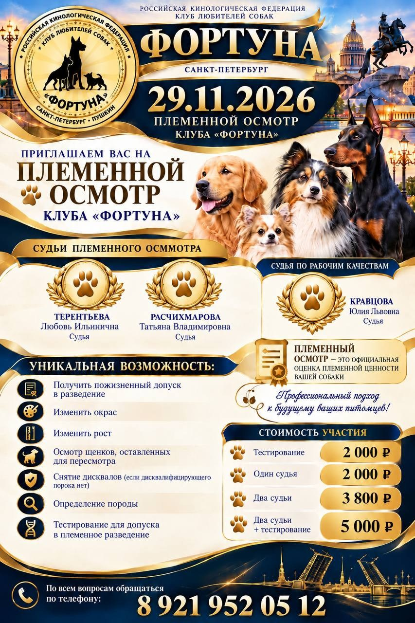 Племсмотр. Кинологический проект Санкт-Петербурга, Клубы Виктория, Ника, Фортуна, Ингрия